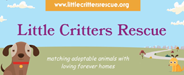 Little Critters Logo
