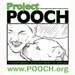 Pooch Logo